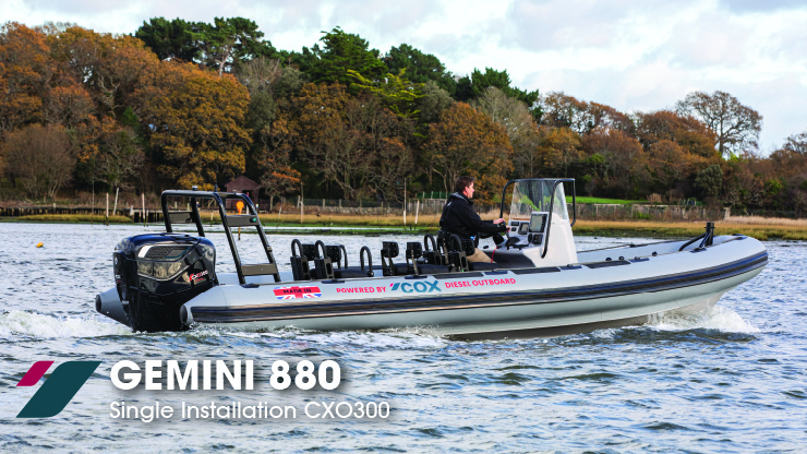 gemini-880 image Image