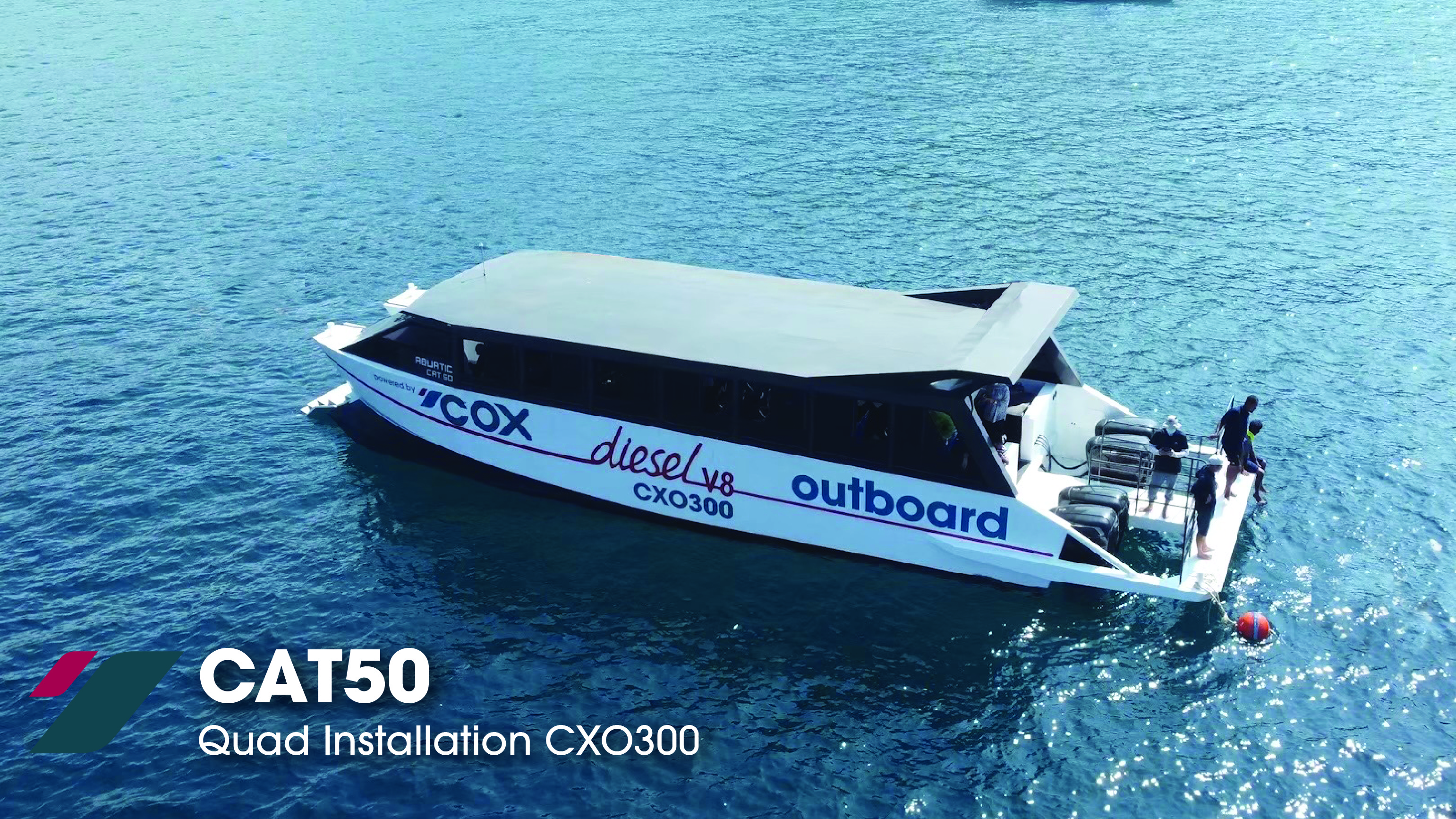 cat50-01 image Image